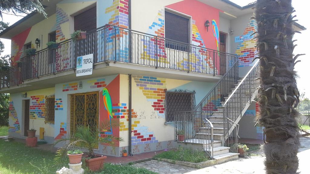 Tropical Bed&Breakfast ルッカ エクステリア 写真