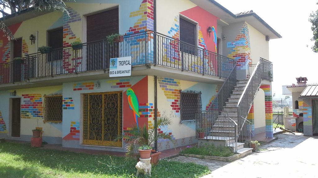 Tropical Bed&Breakfast ルッカ エクステリア 写真